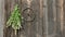 Hanging medical herbs bunch on old wooden wall