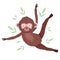 Hanging monkey animal safari cartoon with leaf foliage