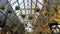 The hanging moss decorations shaped like balls in the garden area