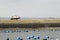 hanging mussel cultivation at Eastern Scheldt