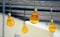 Hanging orange party bulbs