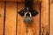 Hanging padlock on closed wooden plank gates