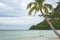 Hanging on a Palm Tree reaching out to the Sea at Sao Beac