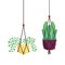 Hanging plants inside pots vector design