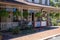 Hanging plants, wall decorations, and colorful signs create an inviting entrance to a business in Dahlonega, Georgia