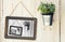 Hanging pot small plant, picture black and white on wooden wall background