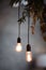 Hanging retro light bulb over the grey blur background. Greenery with lamps