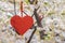Hanging on ribbon symbolic decorative heart on flowering trees. Concept of Valentines day, Spring, Love