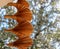 Hanging spinning cedar wind chime