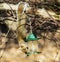 Hanging Squirrel Steals from Bird feeder