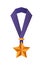 Hanging star medal isolated icon