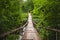 Hanging or suspension bridge in the forest.