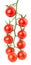 Hanging tomatoes on white background