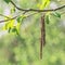 Hanging tree earrings