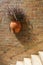 Hanging vase of dry Pennisetum on a vintage brick wall