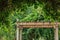 hanging vines growing on wooden garden frame