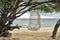 Hanging wicker armchair on green tree on sand beach outdoors