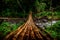 Hanging wooden bridge