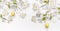 Hanging yellow Easter eggs and spring blossom branches at white wall background, banner. Fresh modern decorative Easter concept