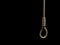 Hangman\'s noose