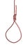 Hangman`s noose tied on synthetic rope cut out