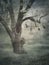 Hangman`s tree. Concept graphic in soft oil painting style