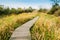 Hangzhou xixi wetland park boardwalk