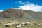 Hanle Monastery Hanle Gompa in Hanle, Ladakh, Jammu and Kashmir, India