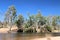 Hann River Crossing on the Gibb Road Kimberley Western Australia