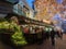 Hannover\'s picturesque Christmas markets.