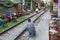 Hanoi Street Train is a place in hanoi Old Quarter where trains pass through very close to people`s houses.