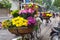 Hanoi, Vietnam - 21 Feb, 2017 : Florists are selling flowers on