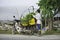 Hanoi, Vietnam - Aug 28, 2015: Young woman loads yellow daisy flower on motorcycle after harvesting for delivering to market in s