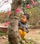 Hanoi, Vietnam - Feb 8, 2015: Unidentified child playing at Nhat Tan peach flower garden. Peach flower is symbol of Vietnamese lun