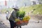 HANOI VIETNAM - NOV3,2017 : unidentified flower seller in hanoi