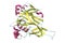 Hantavirus glycoprotein Gn, the molecule which forms surface spikes of the virus