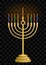 Hanukkah candlestick. Hanukkah. Jewish holiday candles. Jewish festival of light