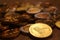 Hanukkah chocolate coins with menorah symbol on back for Judaism