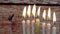 Hanukkah menorah with candles happy burning