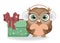 Haooy neq year owl with gift