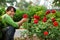 Happiness of asia Farmer in springtime