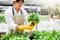 Happiness Asian Man gardener Working with freshness vegetable hydroponic greenhouse in hydroponic farm