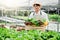 Happiness Asian Man gardener Working with freshness vegetable hydroponic greenhouse in hydroponic farm