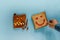 Happiness lifestyle concept. Flat Lay of Sliced Toasted Bread. Person Picked a Well Done Piece with Smiling Face. the Burned one