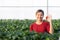 Happiness portrait entrepreneur young asian woman smile and holding strawberry in strawberry farm at greenhouse.
