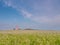 Happisburgh Lighthouse in warm sunlight.