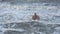 Happy active older man bathing at beach, senior person diving into sea water