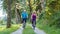 Happy and active senior couple riding bicycles outdoors in the p