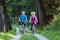 Happy and active senior couple riding bicycles outdoors in the park