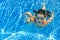 Happy active underwater child swims and dives in pool